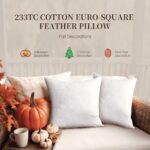 Blue Ridge Home Fashions, 26×26 Feather Euro (2 Pack),Hypoallergenic European Sleep Pillow Inserts Sham Square Form, 2 Count (Pack of 1), White