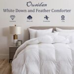 Ousidan Goose Down and Feather Comforter Queen Size Soft Grey Bedding Comforter Warm Duvet Insert with 8 Corner Tabs Medium Warmth-90x90Inches