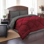 Elegant Comfort All Season Goose Down Alternative Reversible 2-Piece Comforter Set- Available in and Colors, Twin/Twin XL, Red/Gray