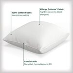 AllerEase Cotton Fresh Pillow, Euro – 2 Pack
