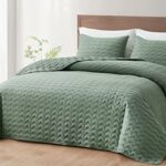 Chezmoi Collection Destiny 3-Piece Sage King Size Quilt Set – Stone-Washed Soft Microfiber Lightweight Quilted Bedspread Coverlet Set for All Seasons Wavy Line Stitching