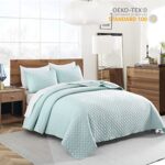 Quilt Queen Size Aqua Blue, Lightweight Quilt for Summer Ultra-Soft Microfiber Modern Style Quilted Clouds Pattern Bedspread Quit Set 3 Pieces?(1 Quilt and 2 Pillow Shams)