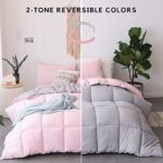 KASENTEX All Season Down Alternative Quilted Comforter Set Reversible Ultra Soft Duvet Insert, Hypoallergenic Machine Washable, King, Pink Potpourri/Quartz Silver